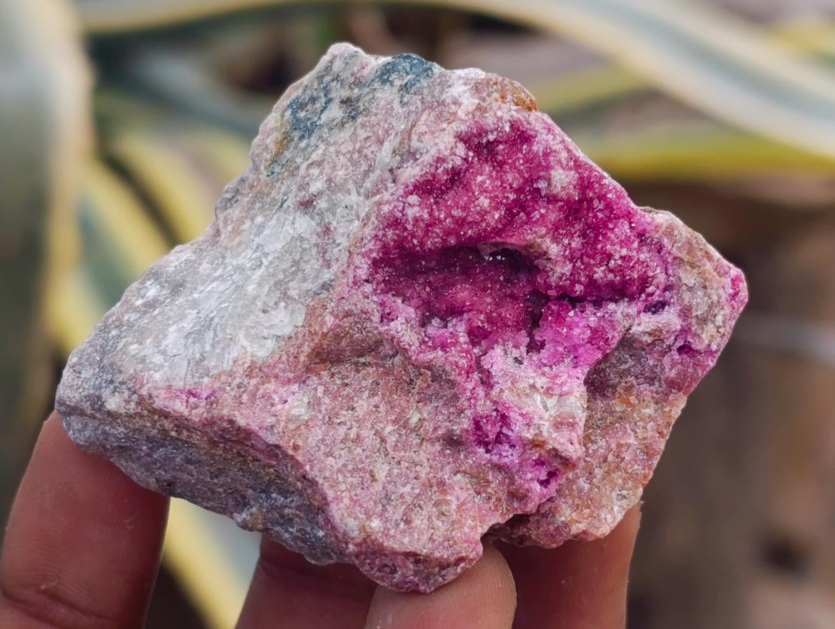 Natural Salrose Cobaltoan Dolomite Specimens x 12 From Kakanda, Congo - Toprock Gemstones and Minerals 