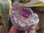 Natural Salrose Cobaltoan Dolomite Specimens x 12 From Kakanda, Congo - Toprock Gemstones and Minerals 
