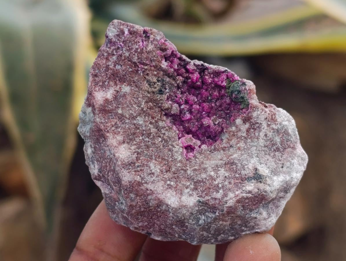 Natural Salrose Cobaltoan Dolomite Specimens x 12 From Kakanda, Congo - Toprock Gemstones and Minerals 