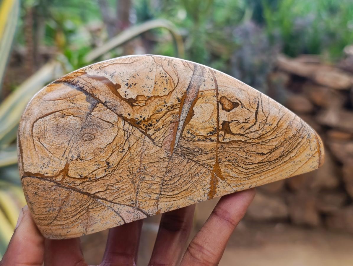 Polished Picture Stone Jasper Standing Free Forms x 2 From Ais-Ais, Namibia - Toprock Gemstones and Minerals 