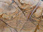 Polished Picture Stone Jasper Standing Free Forms x 2 From Ais-Ais, Namibia - Toprock Gemstones and Minerals 