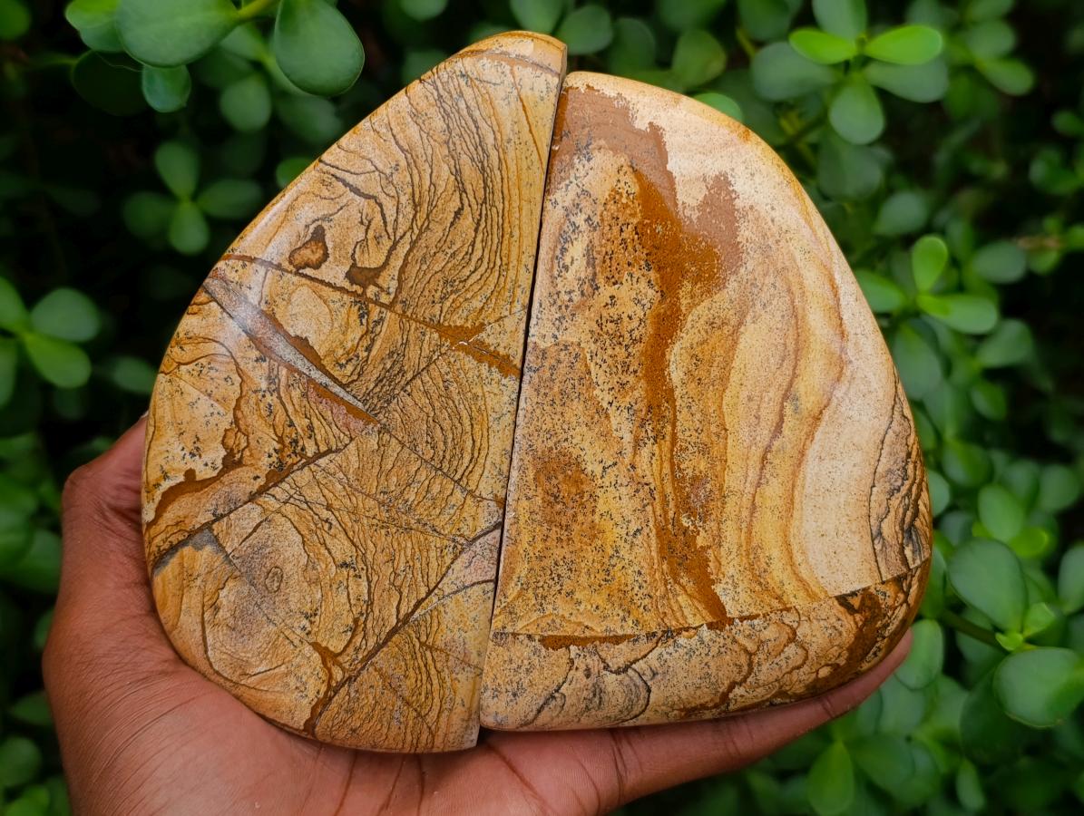 Polished Picture Stone Jasper Standing Free Forms x 2 From Ais-Ais, Namibia - Toprock Gemstones and Minerals 