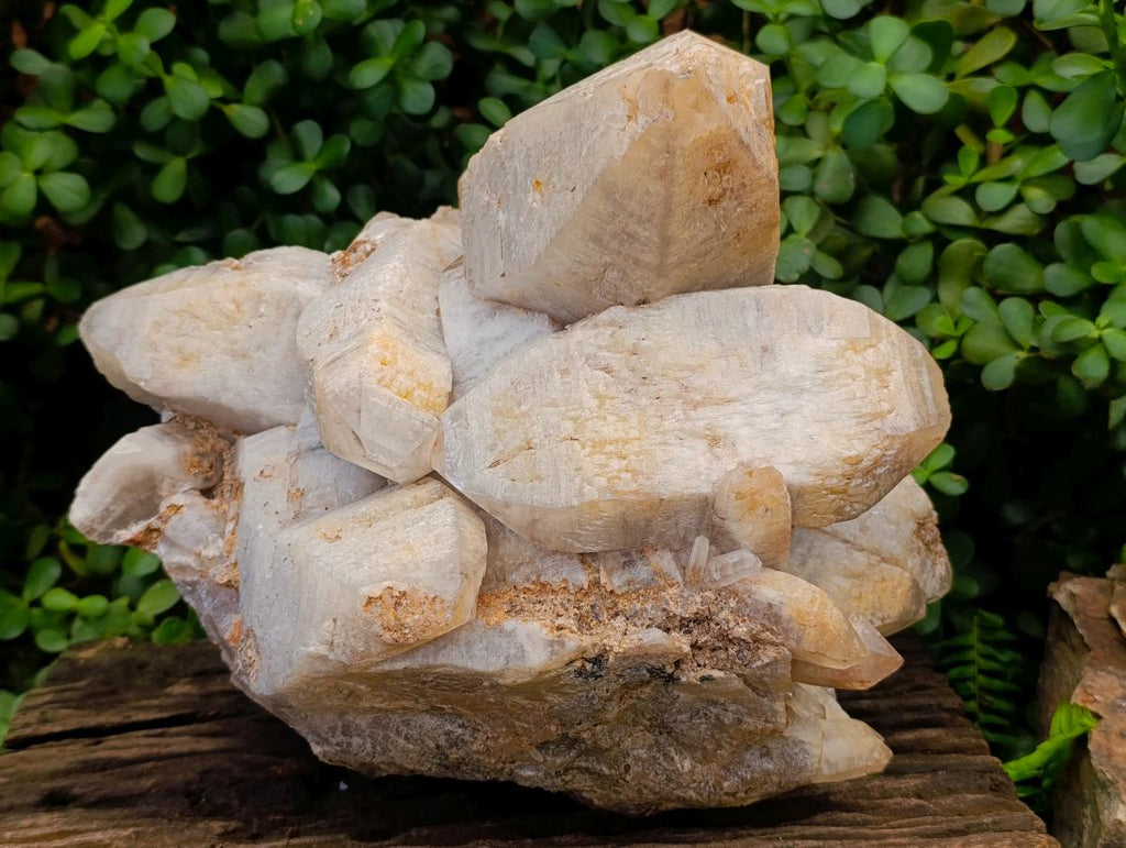 Natural XL Smokey Quartz Cluster x 1 From Erongo, Namibia - Toprock Gemstones and Minerals 