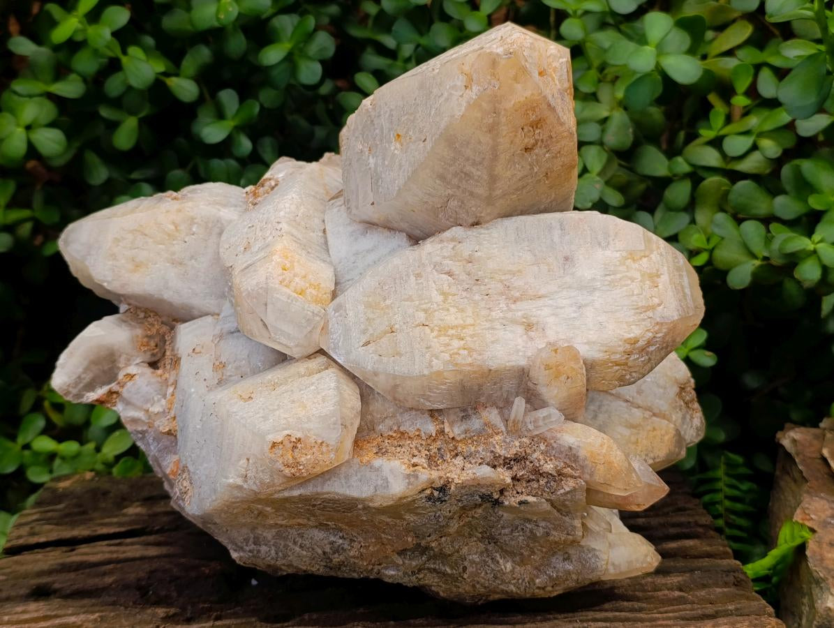Natural XL Smokey Quartz Cluster x 1 From Erongo, Namibia - Toprock Gemstones and Minerals 