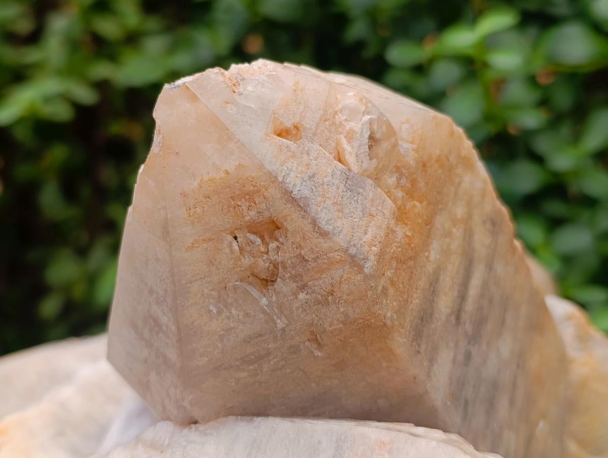 Natural XL Smokey Quartz Cluster x 1 From Erongo, Namibia - Toprock Gemstones and Minerals 