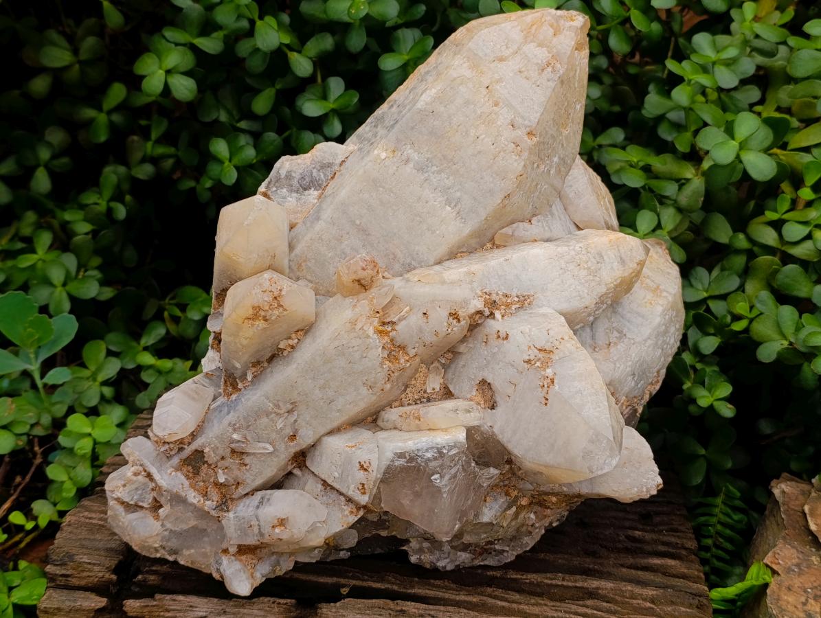 Natural XL Smokey Quartz Cluster x 1 From Erongo, Namibia - Toprock Gemstones and Minerals 