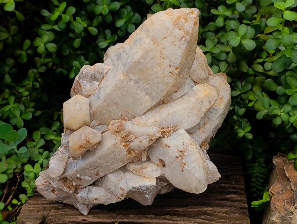 Natural XL Smokey Quartz Cluster x 1 From Erongo, Namibia - Toprock Gemstones and Minerals 