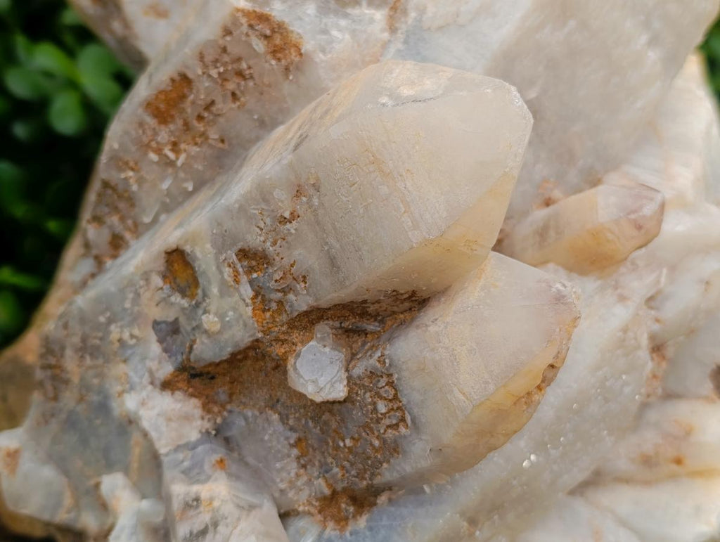 Natural XL Smokey Quartz Cluster x 1 From Erongo, Namibia - Toprock Gemstones and Minerals 