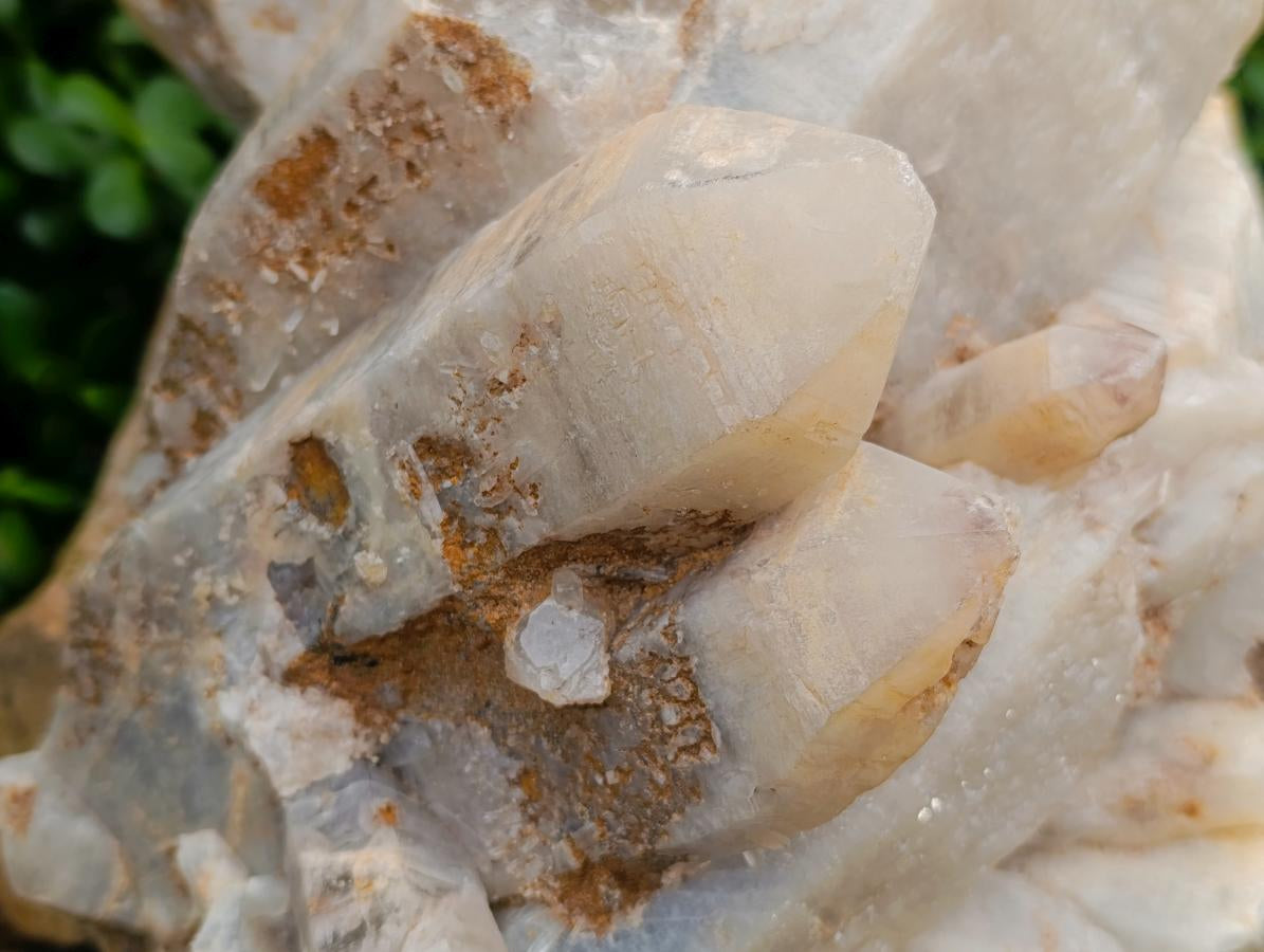 Natural XL Smokey Quartz Cluster x 1 From Erongo, Namibia - Toprock Gemstones and Minerals 