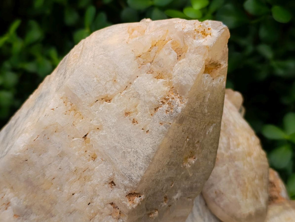 Natural XL Smokey Quartz Cluster x 1 From Erongo, Namibia - Toprock Gemstones and Minerals 