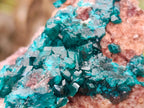 Natural Dioptase on Dolomite Specimens x 6 From Likasi, Congo - Toprock Gemstones and Minerals 