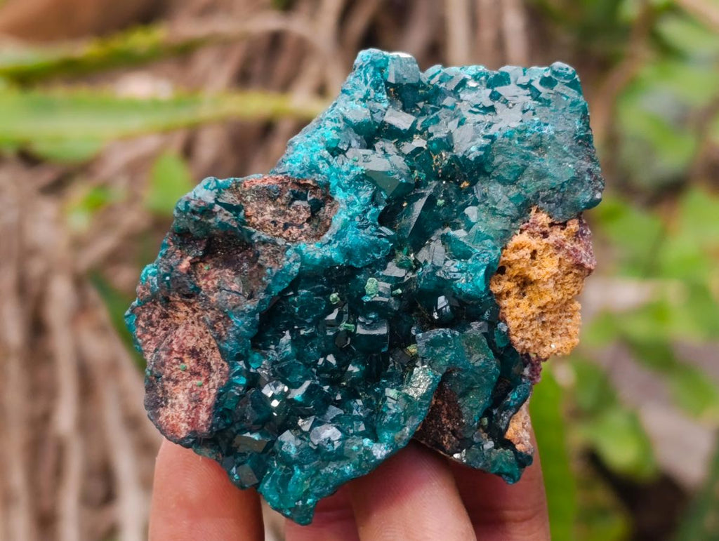 Natural Dioptase on Dolomite Specimens x 6 From Likasi, Congo - Toprock Gemstones and Minerals 