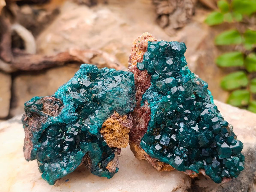 Natural Dioptase on Dolomite Specimens x 6 From Likasi, Congo - Toprock Gemstones and Minerals 