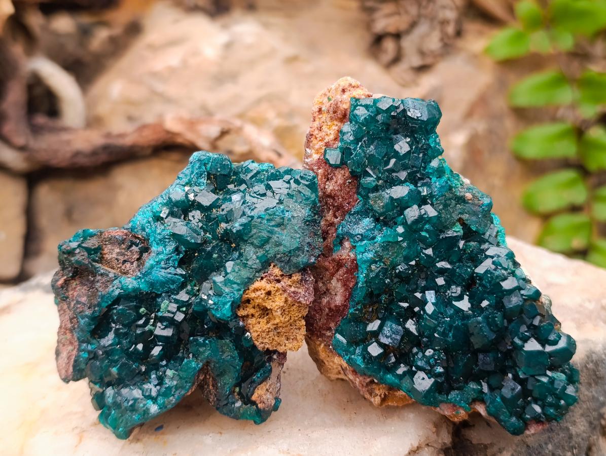 Natural Dioptase on Dolomite Specimens x 6 From Likasi, Congo - Toprock Gemstones and Minerals 