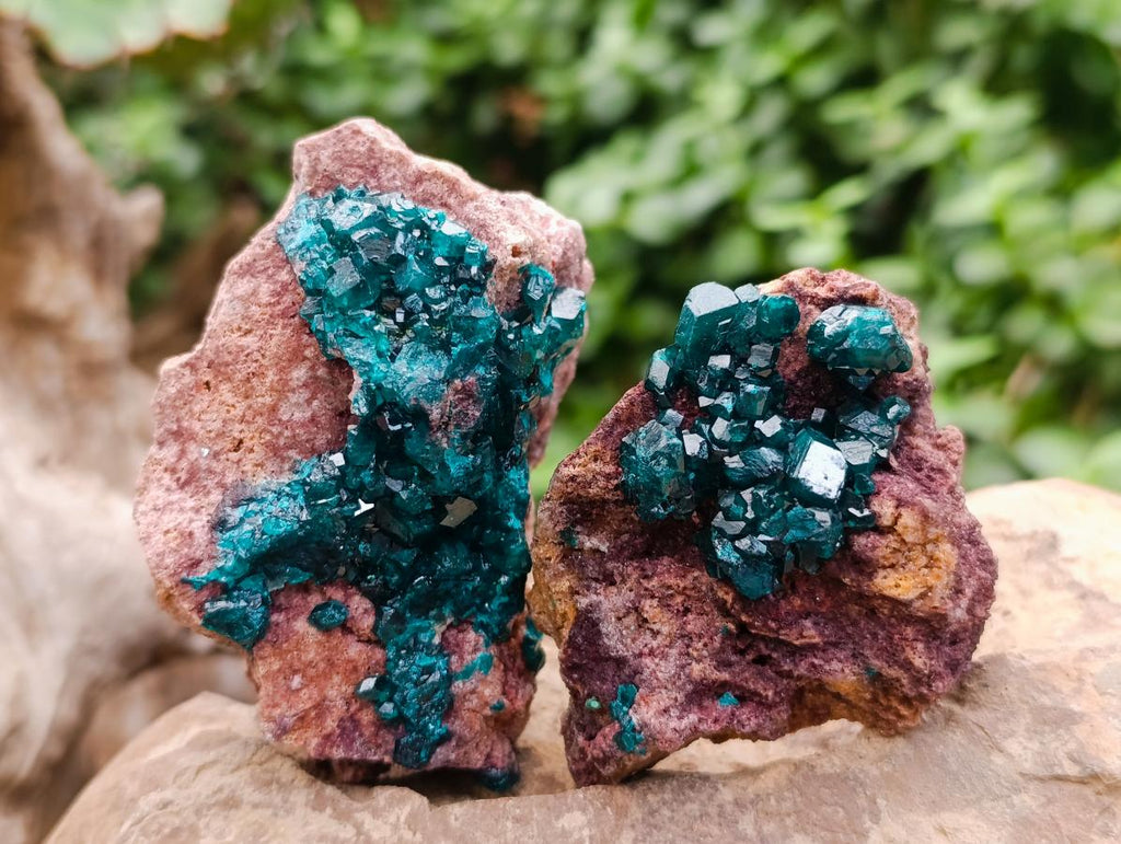 Natural Dioptase on Dolomite Specimens x 6 From Likasi, Congo - Toprock Gemstones and Minerals 