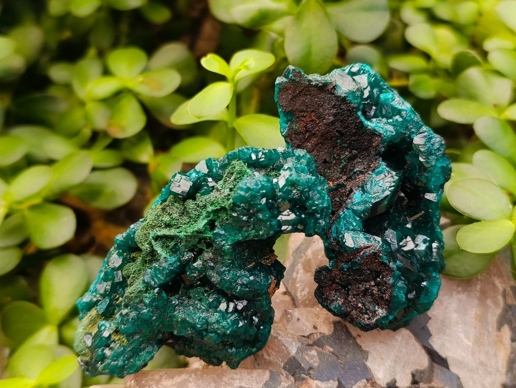 Natural Dioptase on Dolomite Specimens x 6 From Likasi, Congo - Toprock Gemstones and Minerals 