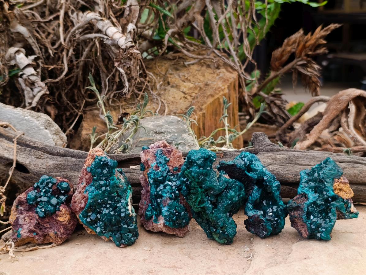 Natural Dioptase on Dolomite Specimens x 6 From Likasi, Congo - Toprock Gemstones and Minerals 