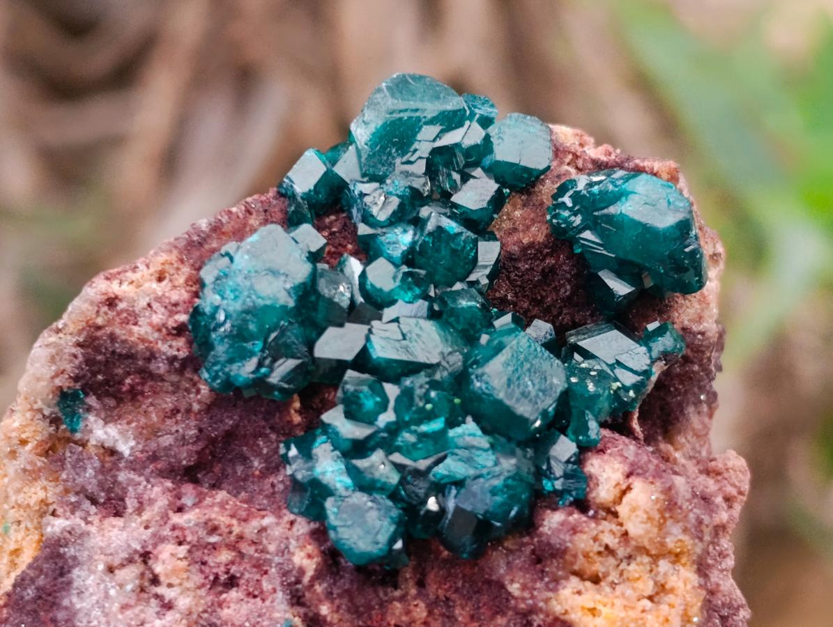 Natural Dioptase on Dolomite Specimens x 6 From Likasi, Congo - Toprock Gemstones and Minerals 
