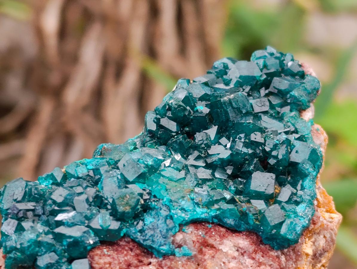 Natural Dioptase on Dolomite Specimens x 6 From Likasi, Congo - Toprock Gemstones and Minerals 