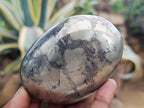 Polished XL Basalt Pharaoh Stone Galet Free Forms x 4 From Iron Duke Mine, Zimbabwe - Toprock Gemstones and Minerals 