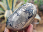 Polished XL Basalt Pharaoh Stone Galet Free Forms x 4 From Iron Duke Mine, Zimbabwe - Toprock Gemstones and Minerals 