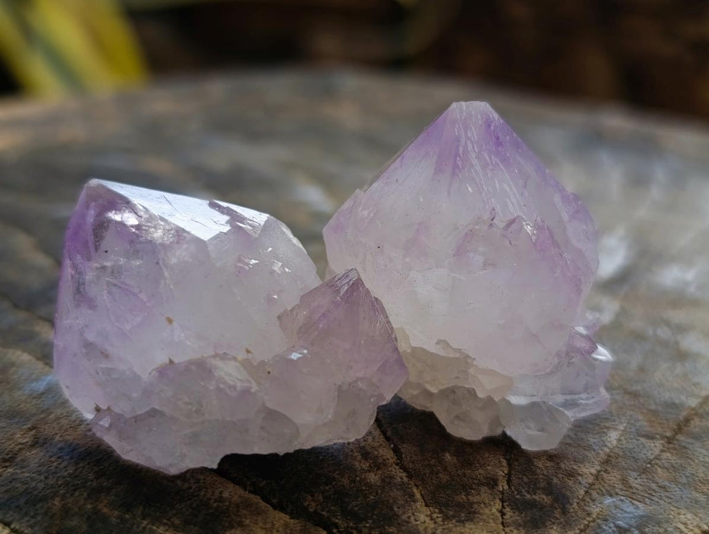 Natural Sunburst Cactus Amethyst Spirit Quartz Single Crystals x 35 From Boekenhouthoek, South Africa - Toprock Gemstones and Minerals 