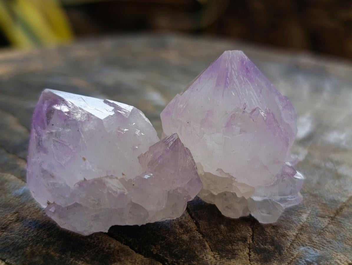 Natural Sunburst Cactus Amethyst Spirit Quartz Single Crystals x 35 From Boekenhouthoek, South Africa - Toprock Gemstones and Minerals 