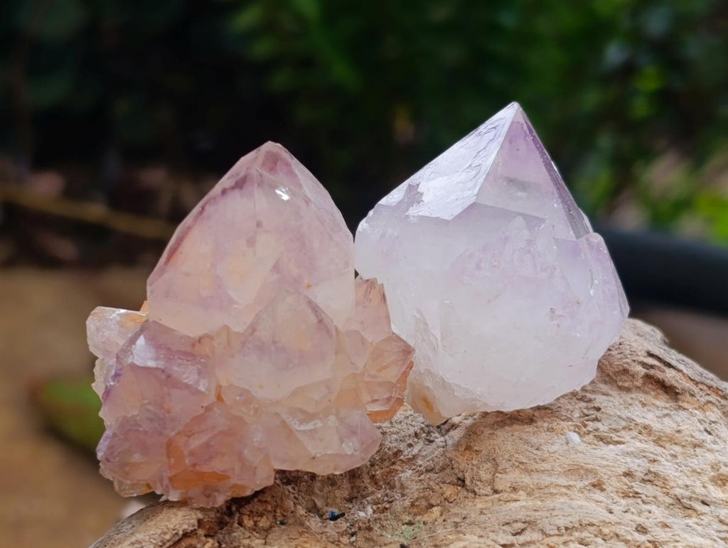 Natural Sunburst Cactus Amethyst Spirit Quartz Single Crystals x 35 From Boekenhouthoek, South Africa - Toprock Gemstones and Minerals 