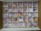 Natural Sunburst Cactus Amethyst Spirit Quartz Single Crystals x 35 From Boekenhouthoek, South Africa - Toprock Gemstones and Minerals 