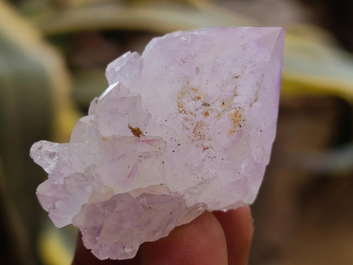 Natural Sunburst Cactus Amethyst Spirit Quartz Single Crystals x 35 From Boekenhouthoek, South Africa - Toprock Gemstones and Minerals 