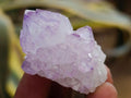 Natural Sunburst Cactus Amethyst Spirit Quartz Single Crystals x 35 From Boekenhouthoek, South Africa - Toprock Gemstones and Minerals 