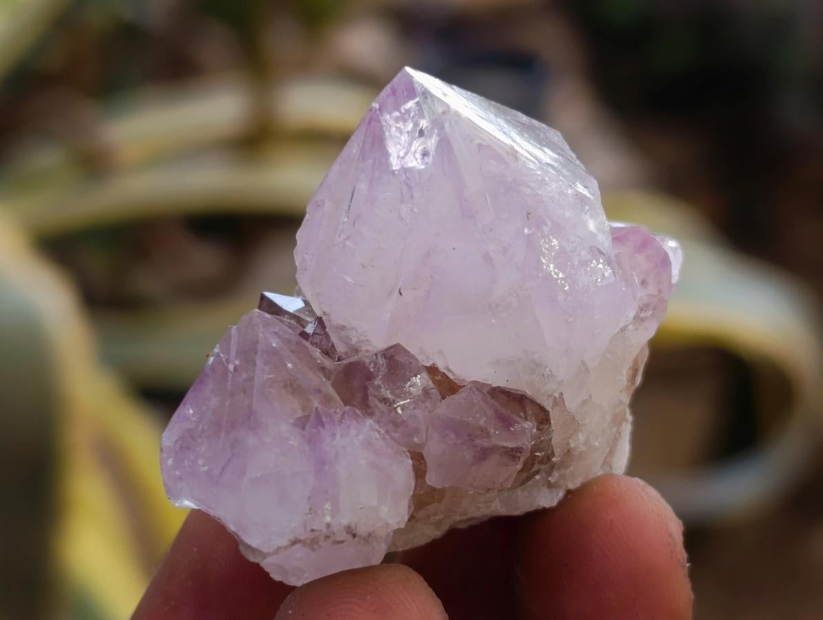 Natural Sunburst Cactus Amethyst Spirit Quartz Single Crystals x 35 From Boekenhouthoek, South Africa - Toprock Gemstones and Minerals 