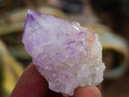 Natural Sunburst Cactus Amethyst Spirit Quartz Single Crystals x 35 From Boekenhouthoek, South Africa - Toprock Gemstones and Minerals 