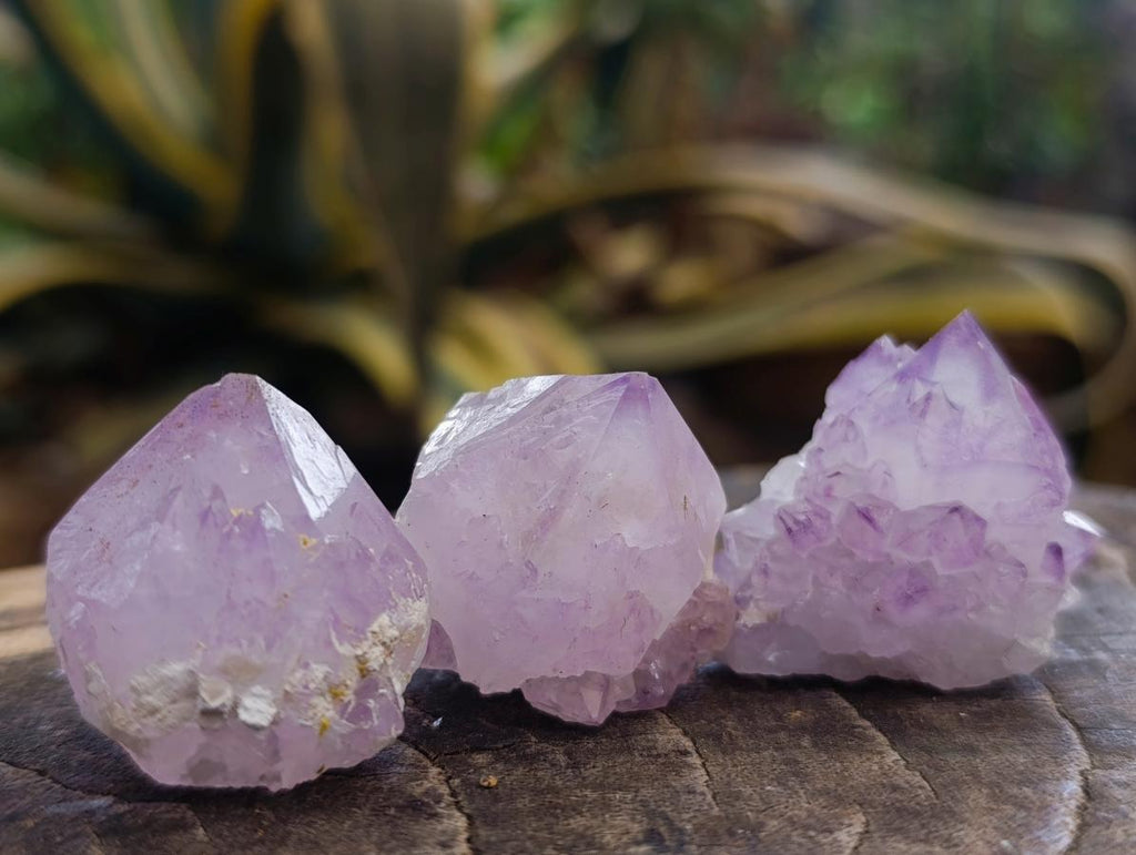 Natural Sunburst Cactus Amethyst Spirit Quartz Single Crystals x 35 From Boekenhouthoek, South Africa - Toprock Gemstones and Minerals 