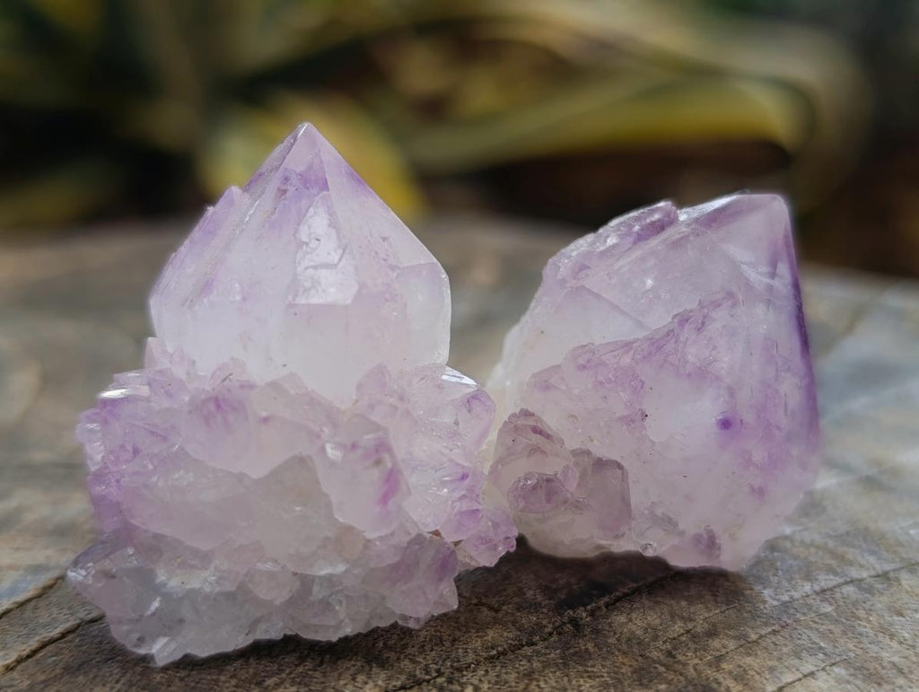 Natural Sunburst Cactus Amethyst Spirit Quartz Single Crystals x 35 From Boekenhouthoek, South Africa - Toprock Gemstones and Minerals 