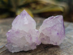 Natural Sunburst Cactus Amethyst Spirit Quartz Single Crystals x 35 From Boekenhouthoek, South Africa - Toprock Gemstones and Minerals 