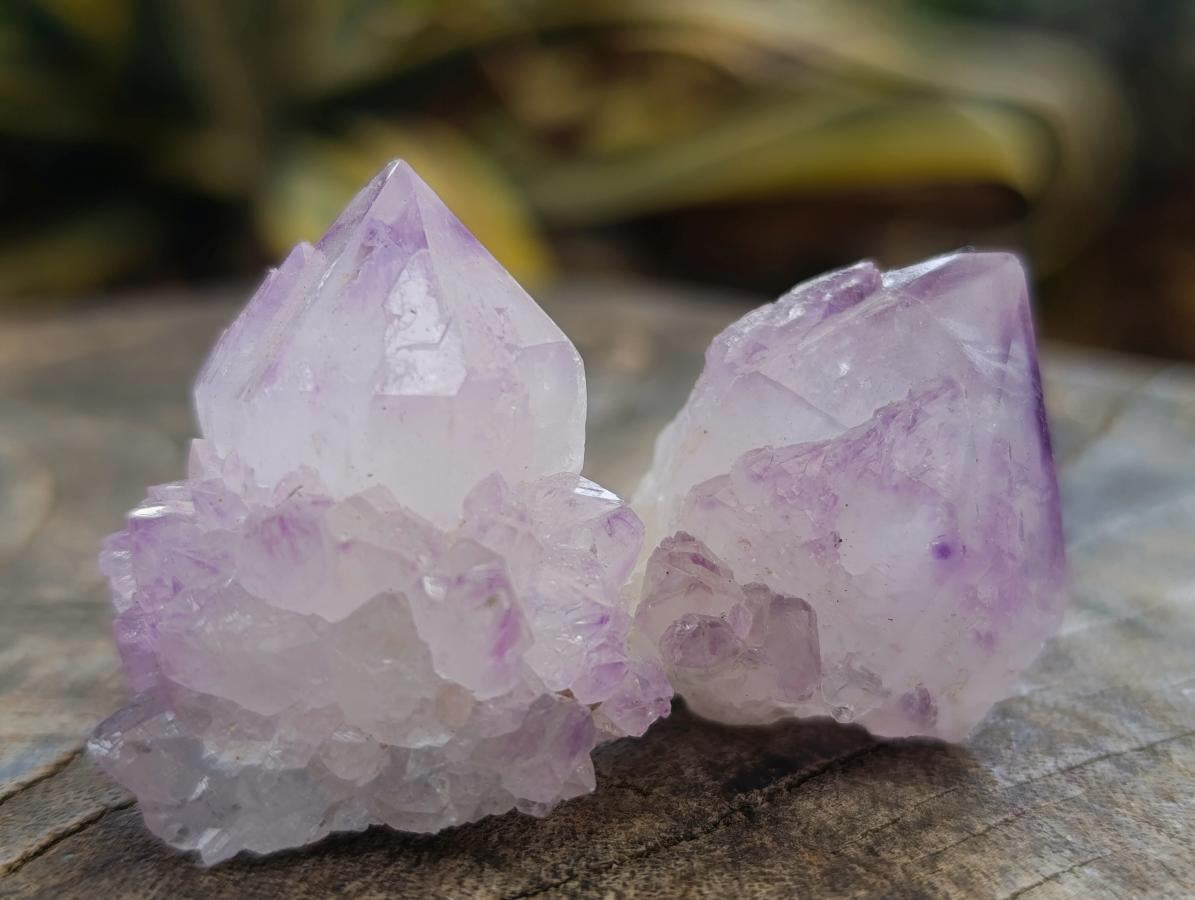Natural Sunburst Cactus Amethyst Spirit Quartz Single Crystals x 35 From Boekenhouthoek, South Africa - Toprock Gemstones and Minerals 