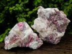 Natural Pink Rubellite Tourmaline Specimens x 2 From Karibib, Namibia - Toprock Gemstones and Minerals 