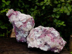 Natural Pink Rubellite Tourmaline Specimens x 2 From Karibib, Namibia - Toprock Gemstones and Minerals 