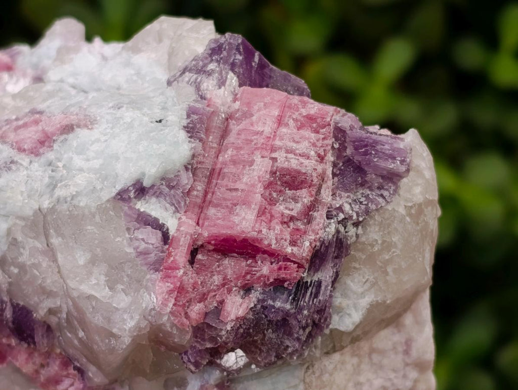 Natural Pink Rubellite Tourmaline Specimens x 2 From Karibib, Namibia - Toprock Gemstones and Minerals 