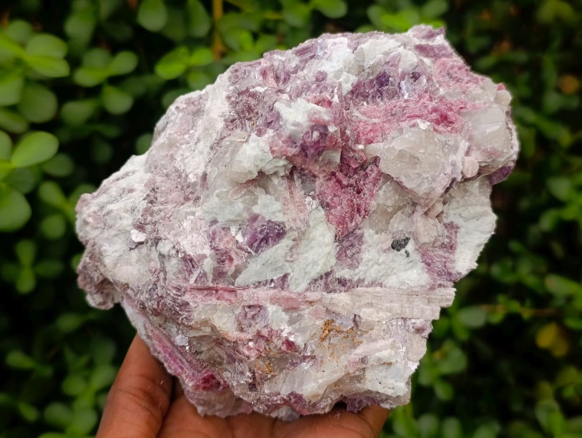 Natural Pink Rubellite Tourmaline Specimens x 2 From Karibib, Namibia - Toprock Gemstones and Minerals 