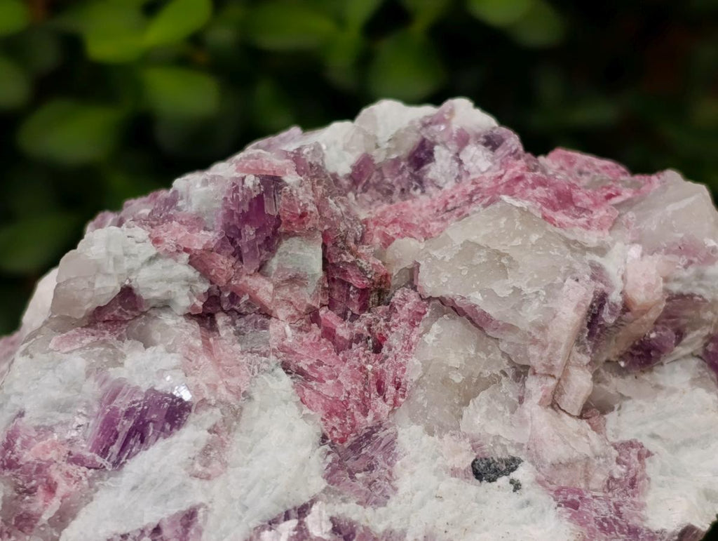 Natural Pink Rubellite Tourmaline Specimens x 2 From Karibib, Namibia - Toprock Gemstones and Minerals 