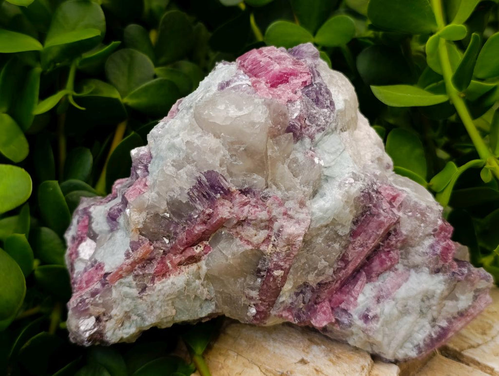 Natural Pink Rubellite Tourmaline Specimens x 2 From Karibib, Namibia - Toprock Gemstones and Minerals 