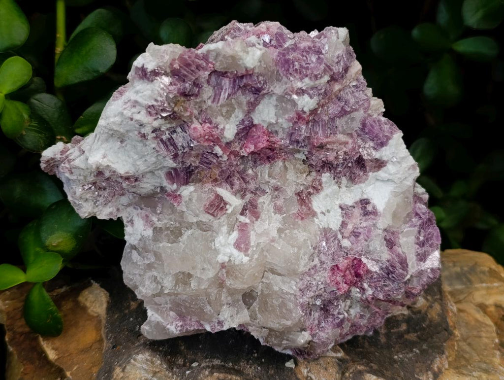 Natural Pink Rubellite Tourmaline Specimens x 2 From Karibib, Namibia - Toprock Gemstones and Minerals 