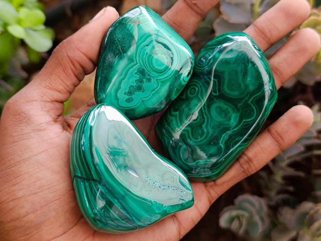 Polished Flower Banded Malachite Free Forms x 12 From Congo - Toprock Gemstones and Minerals 