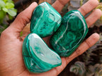 Polished Flower Banded Malachite Free Forms x 12 From Congo - Toprock Gemstones and Minerals 