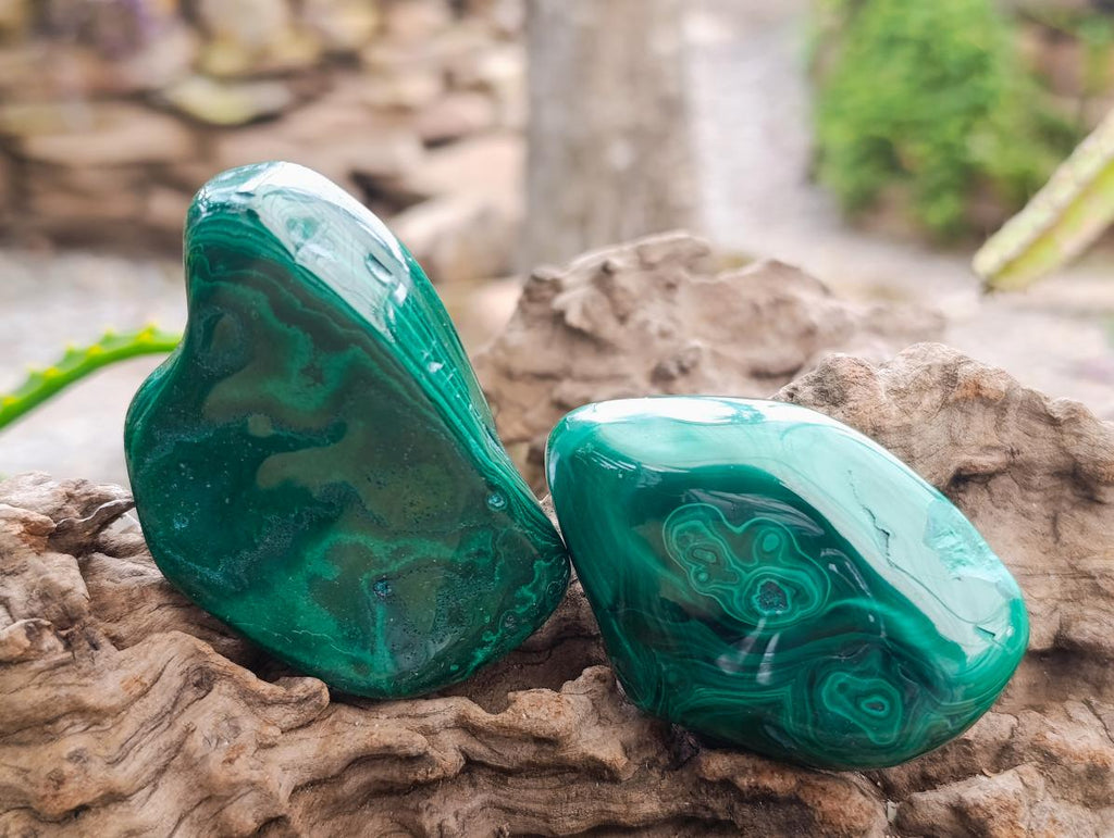 Polished Flower Banded Malachite Free Forms x 12 From Congo - Toprock Gemstones and Minerals 