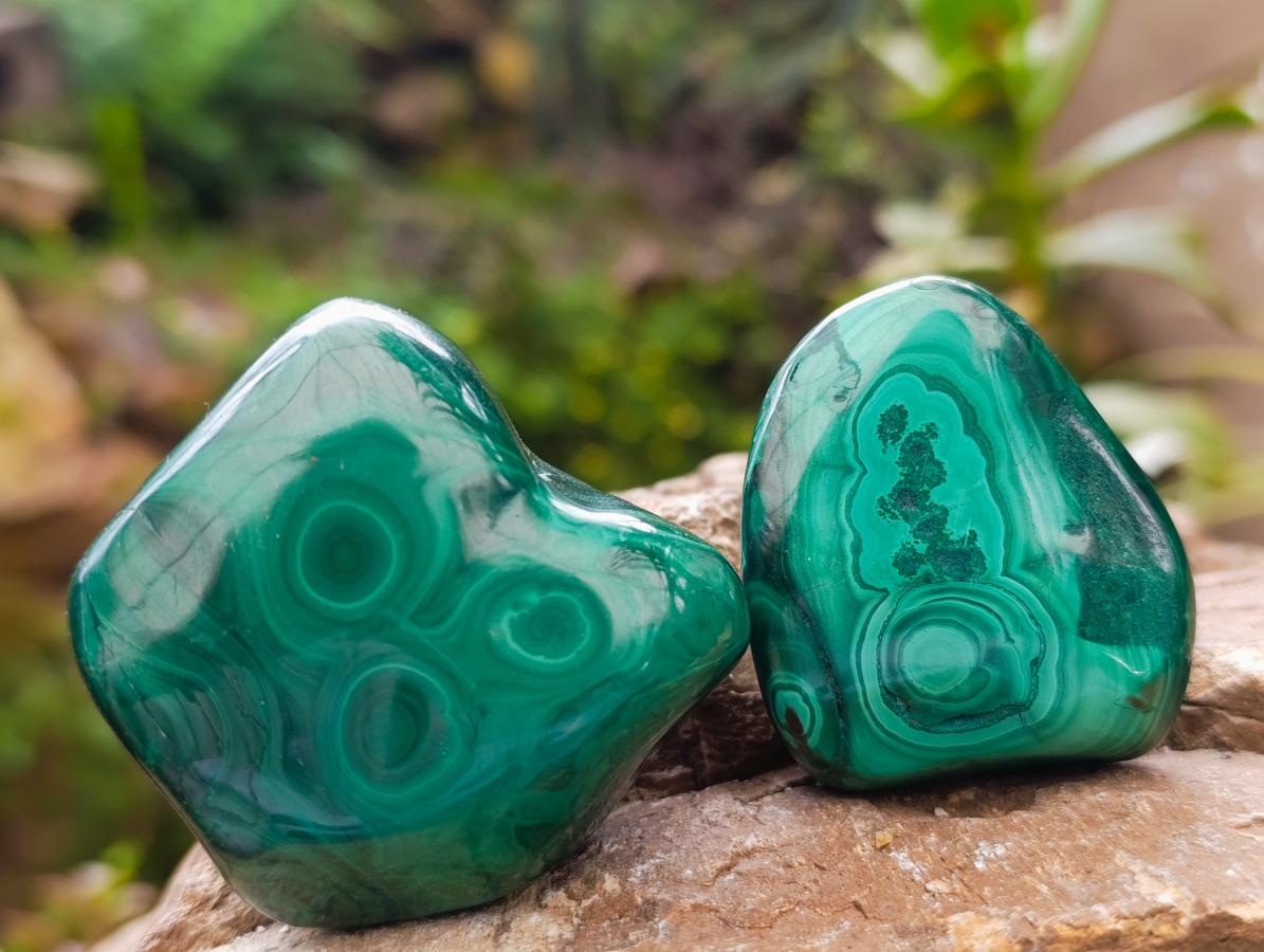 Polished Flower Banded Malachite Free Forms x 12 From Congo - Toprock Gemstones and Minerals 