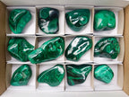Polished Flower Banded Malachite Free Forms x 12 From Congo - Toprock Gemstones and Minerals 