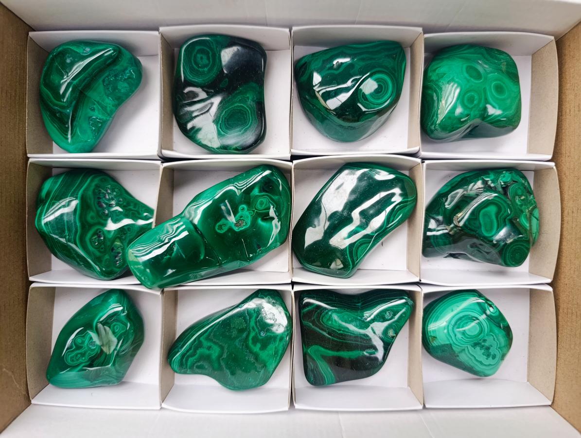 Polished Flower Banded Malachite Free Forms x 12 From Congo - Toprock Gemstones and Minerals 